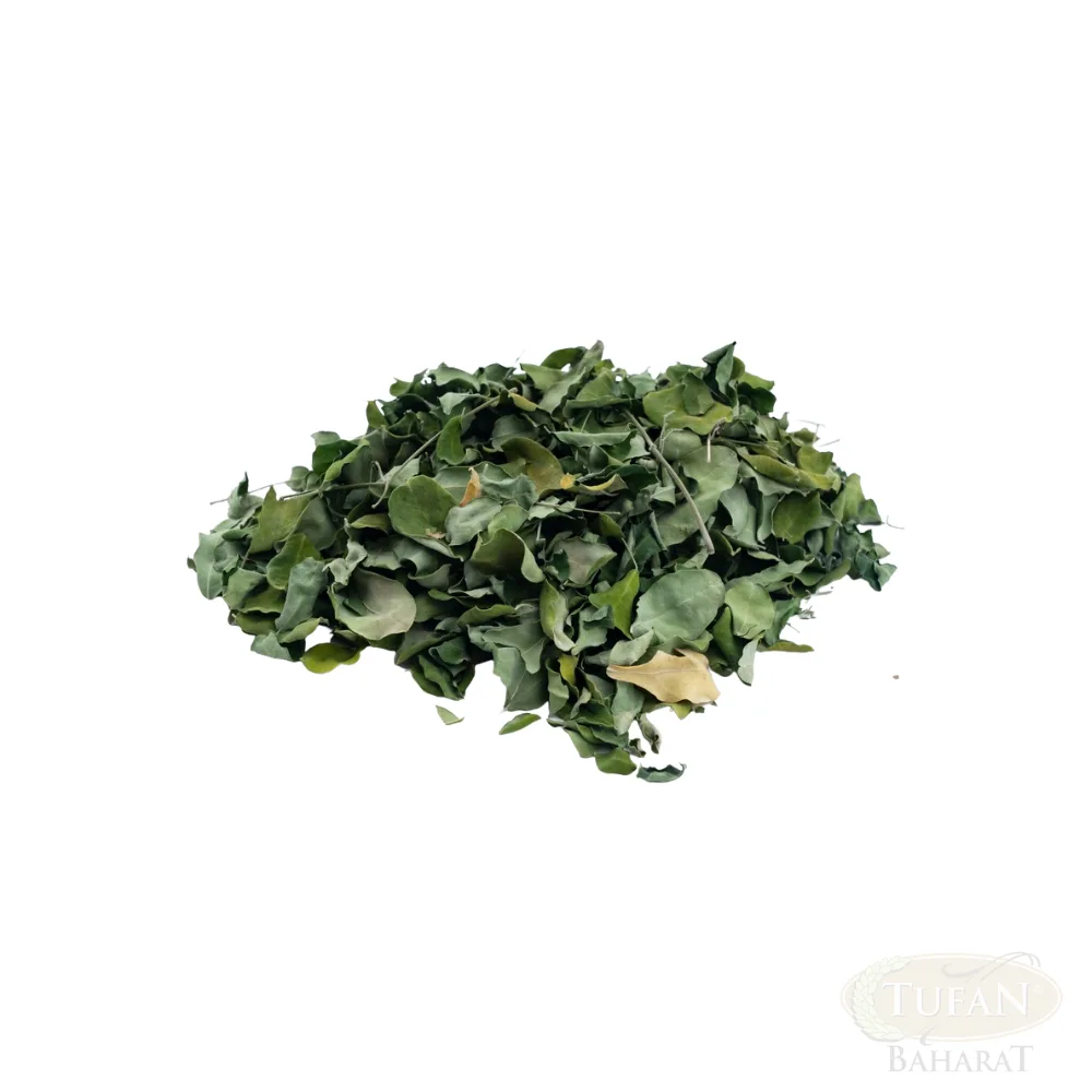 مورينغا