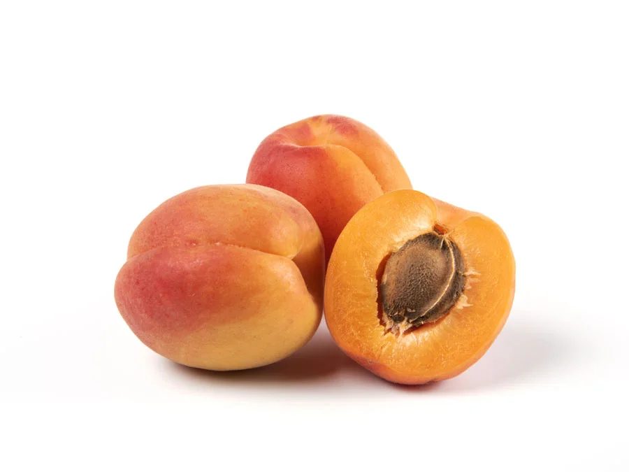 Fresh Apricot