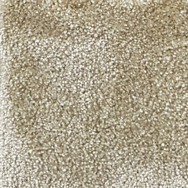 Wall-to-Wall Carpet Obsession 24