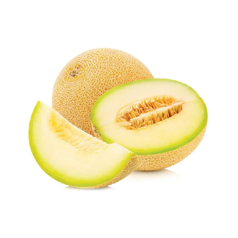 شتلة شمام عادي