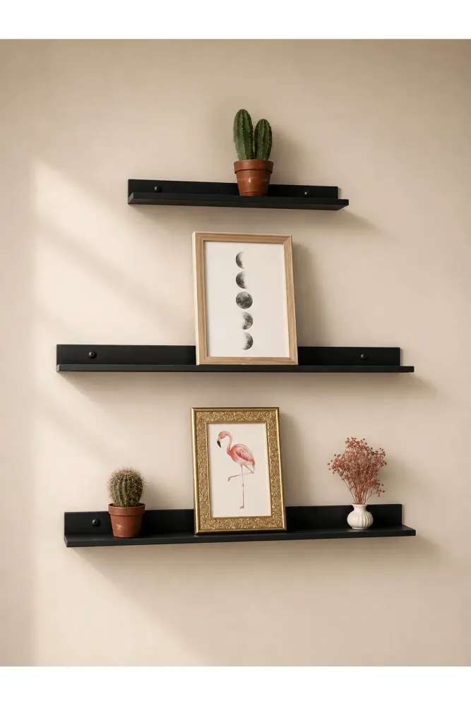 Set of 3 Black Metal Shelves, Frame Shelf, Decorative Wall Shelf