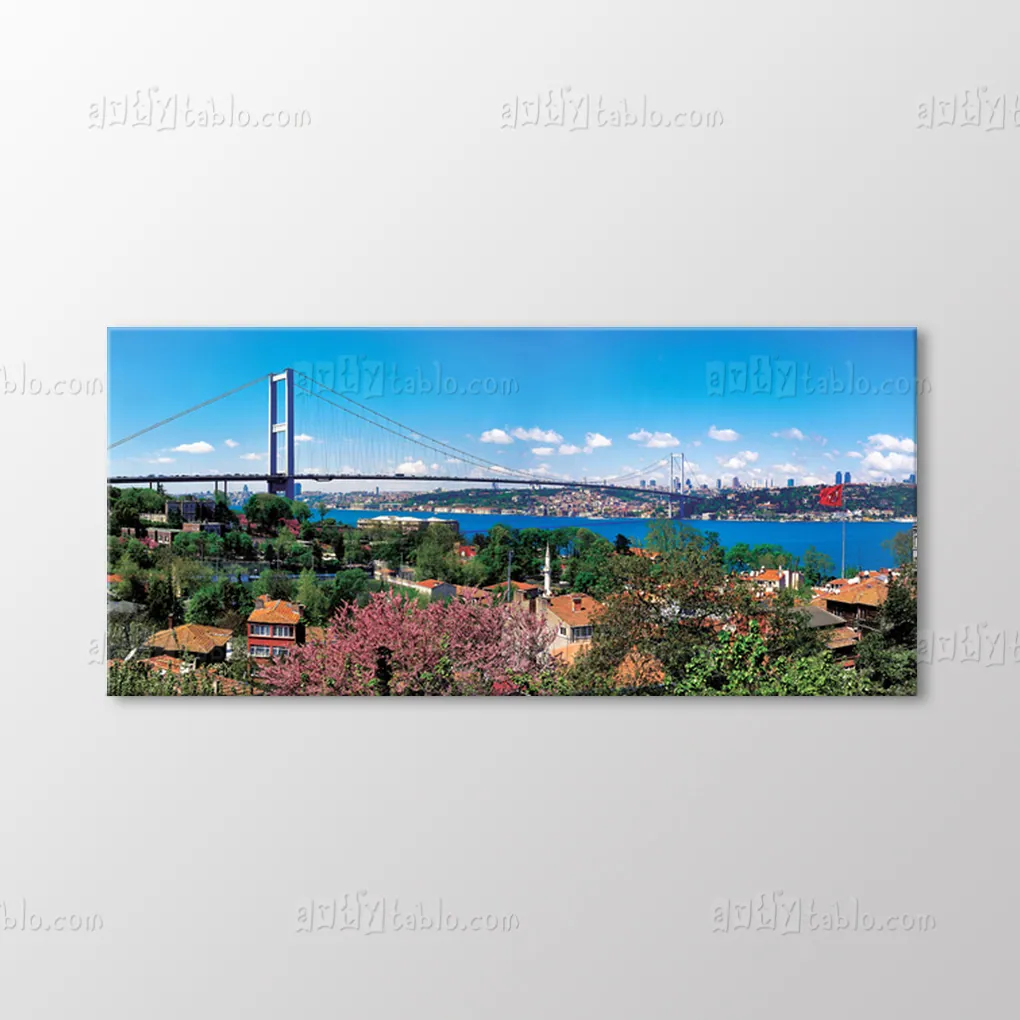 Bosphorus bridge from flower garden canvas wall art