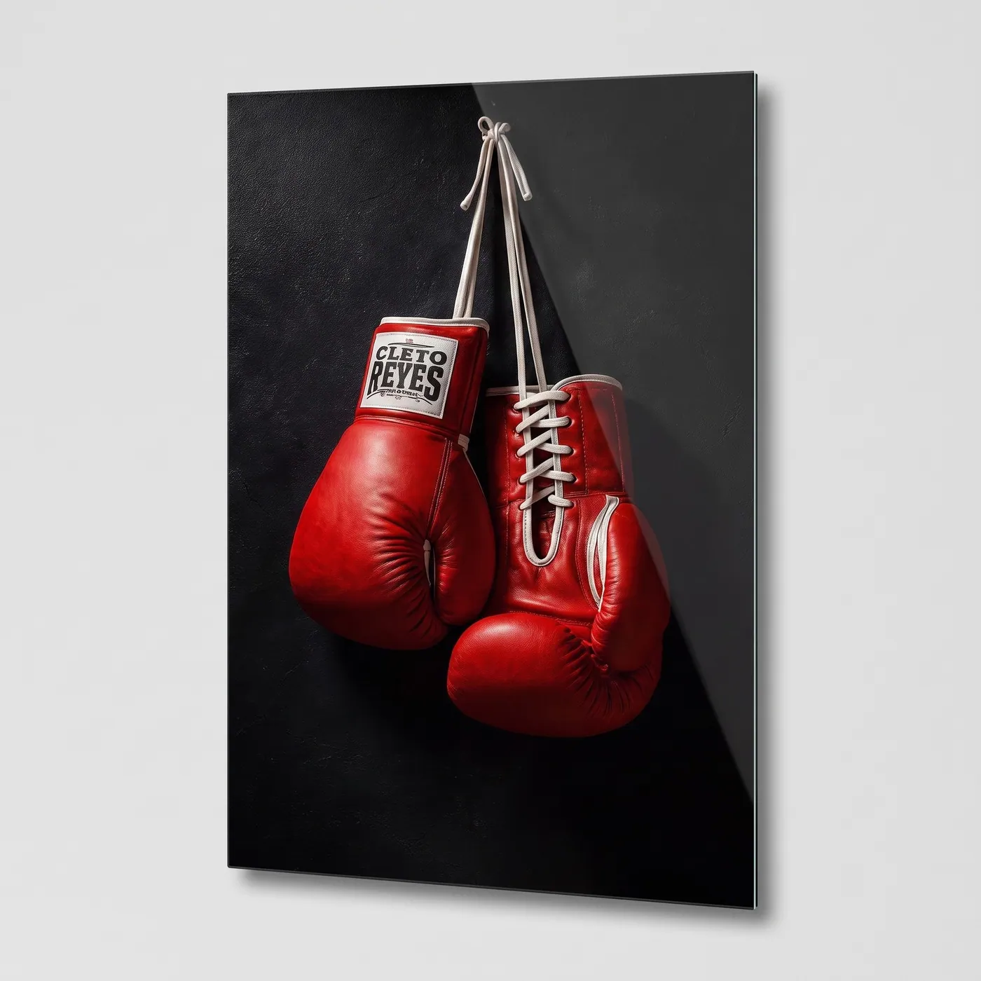 Boks Eldivenleri Dikey glass wall art