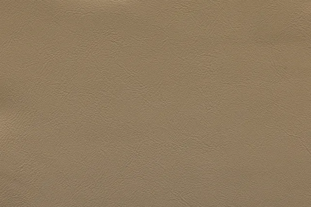 Nappa Leather – Beige 281