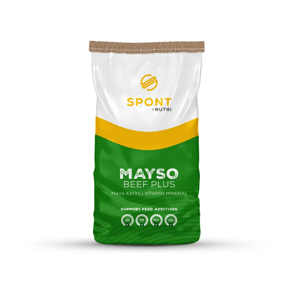 Mayso Beef Plus for beef and dairy cattle