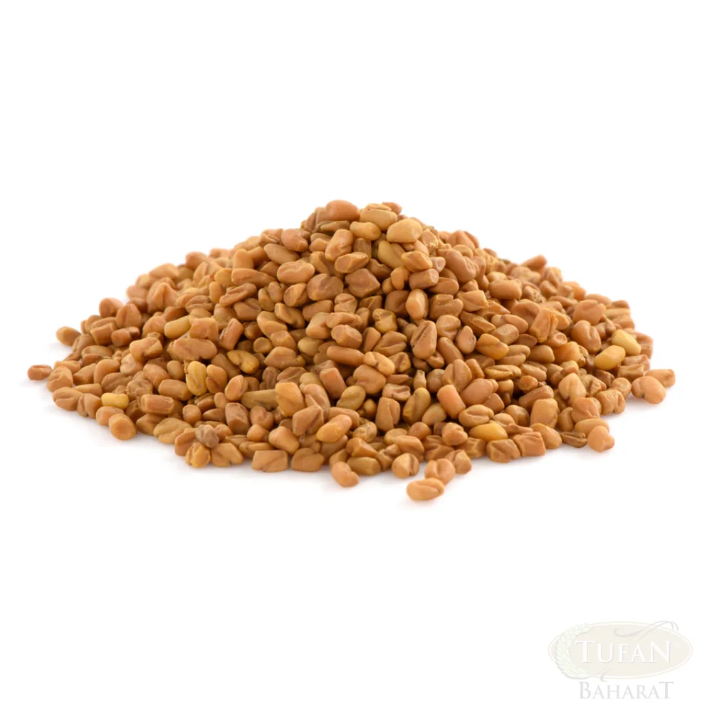 حلبة حب