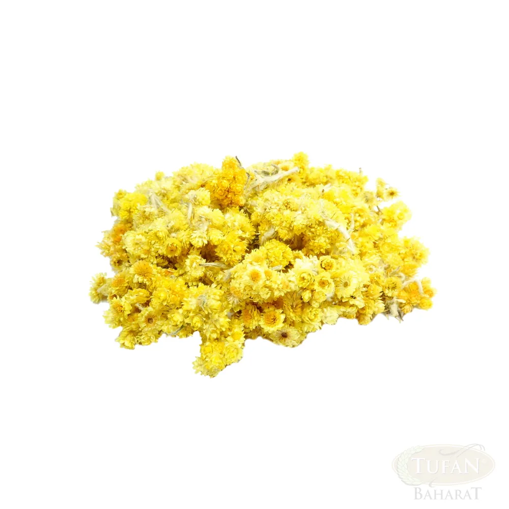 عشبة الذهب (هيبريكوم)