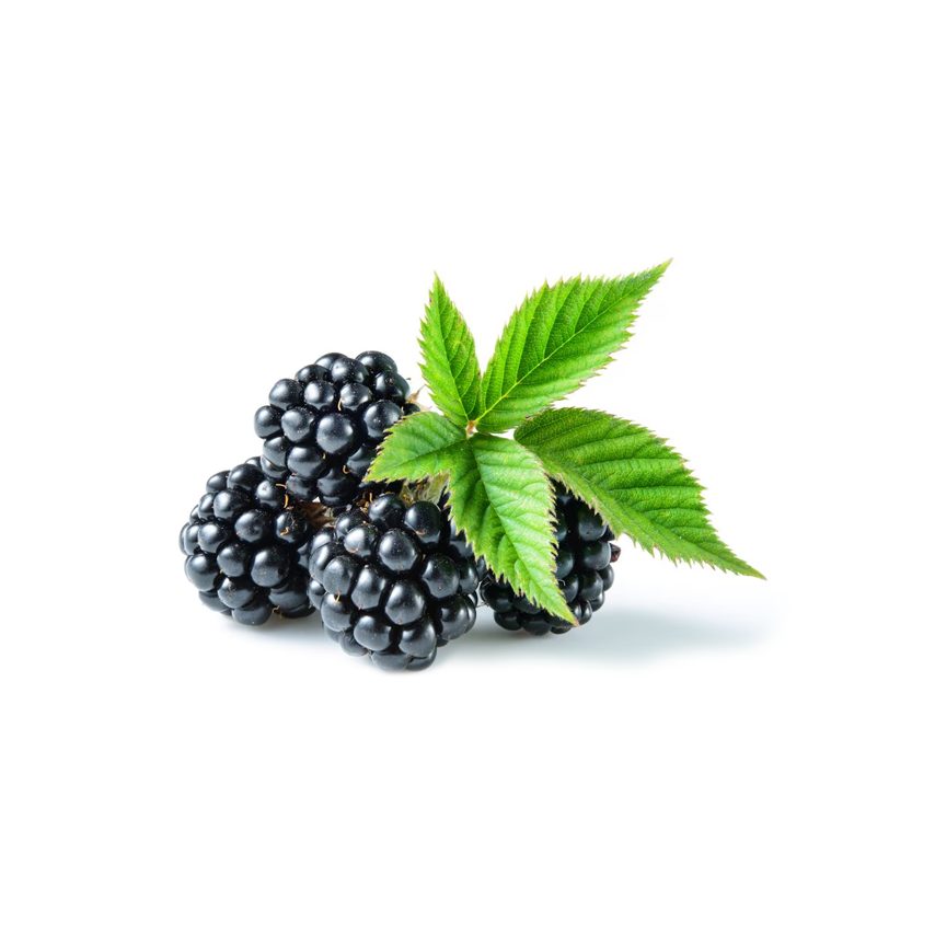 blackberry
