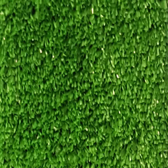 Wall-to-Wall Grass Carpet Vista