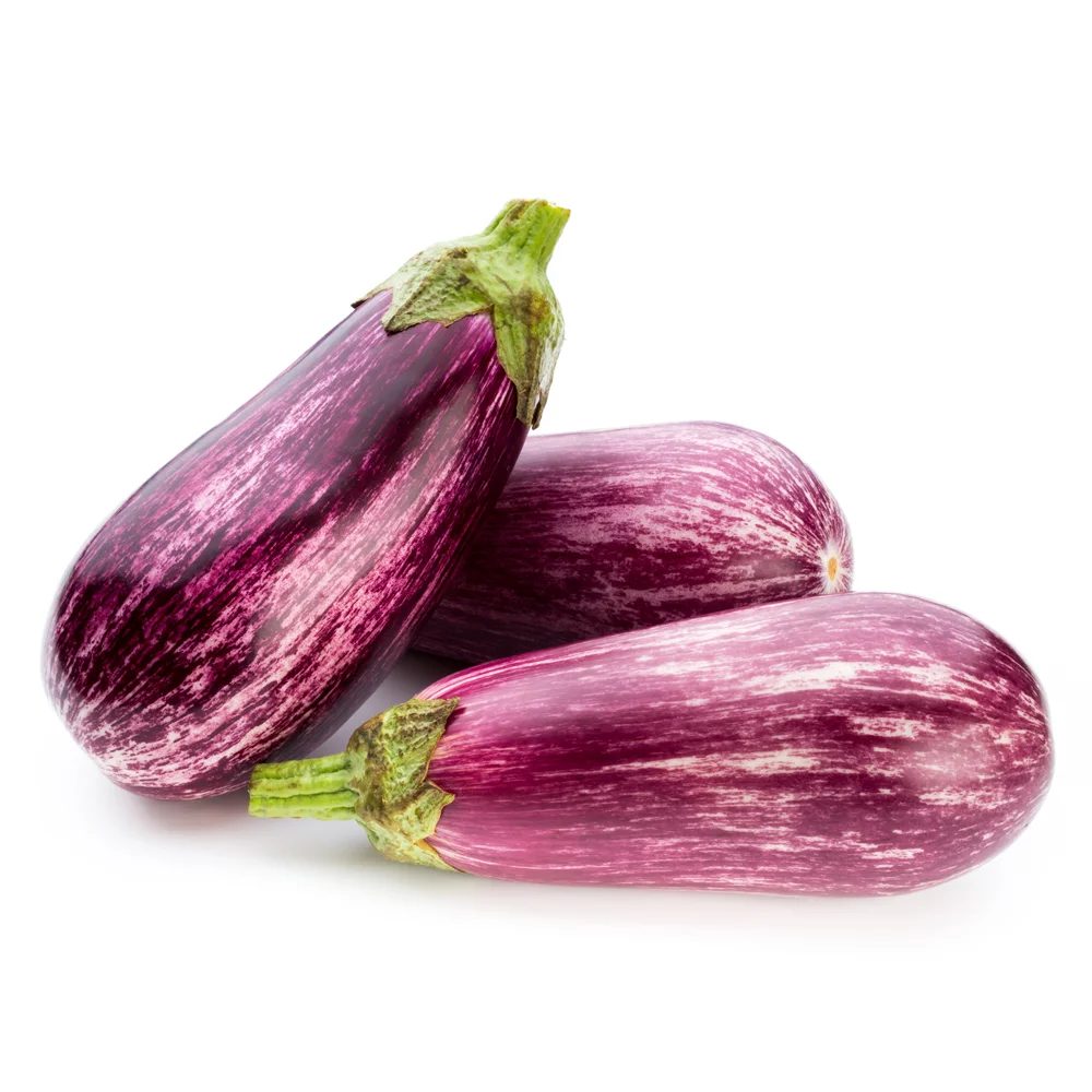 شتلة الباذنجان