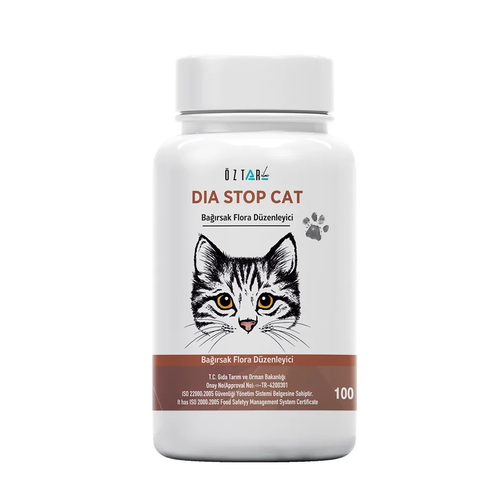 Dia Stop Cat