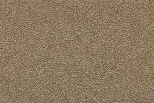 Miura Leather, Beige | 281 (TPX 17-1312) - Uyguner Deri