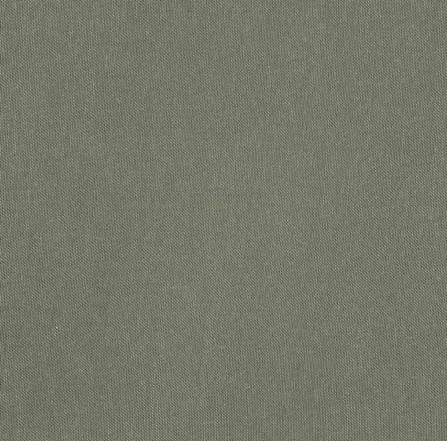 DA.70442/WIDE JAVANEZ 02 / RW fabric