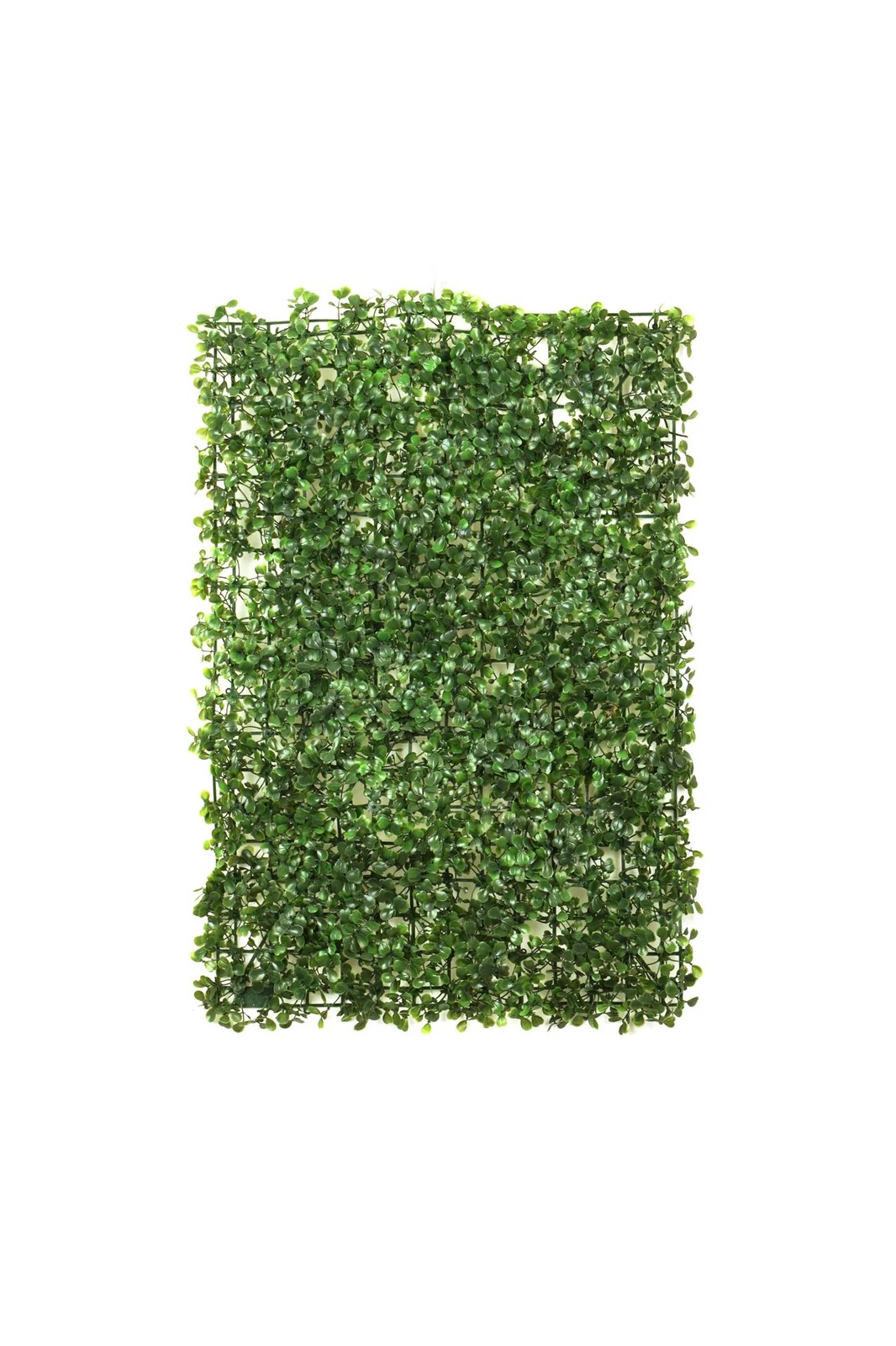 لوحة حائط نباتية صناعية 40×60