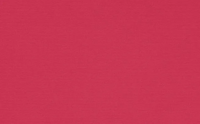 TA.49887/PRINCES 01 / RD STOCK fabric