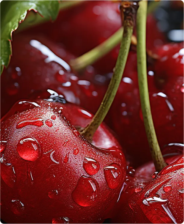Fresh cherries