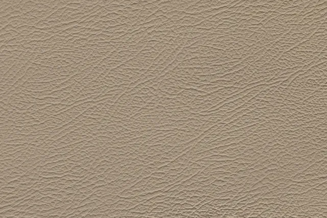 Leather — Espada Mine | 743 (TPX 15-1305)