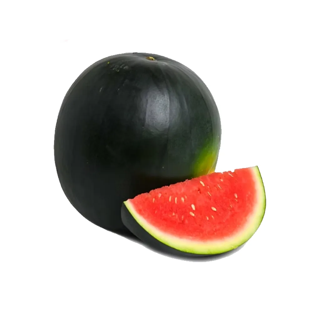 شتلة بطيخ Siyah Karpuz