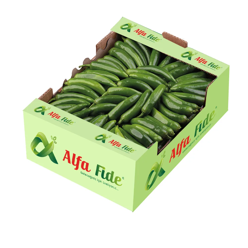 شتلة فلفل Jalapon