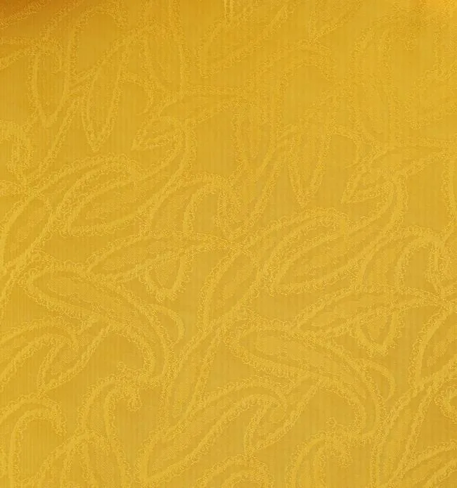 DJ.71300/BORGATA 01 fabric