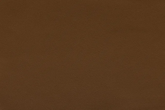 Leather — Relax Coffee | 630 (TPX 18-1030)