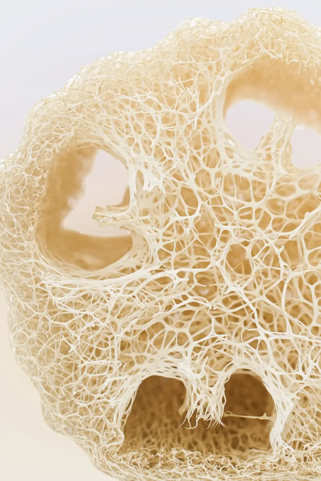 Natural loofah sponge