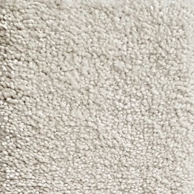 Wall-to-Wall Carpet Magnificus 05
