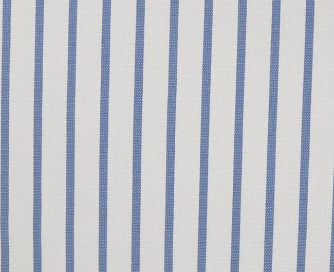 DA.34546/FINE OXFORT LINE 01 fabric