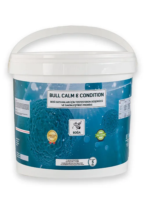 Bull Calm & Condition