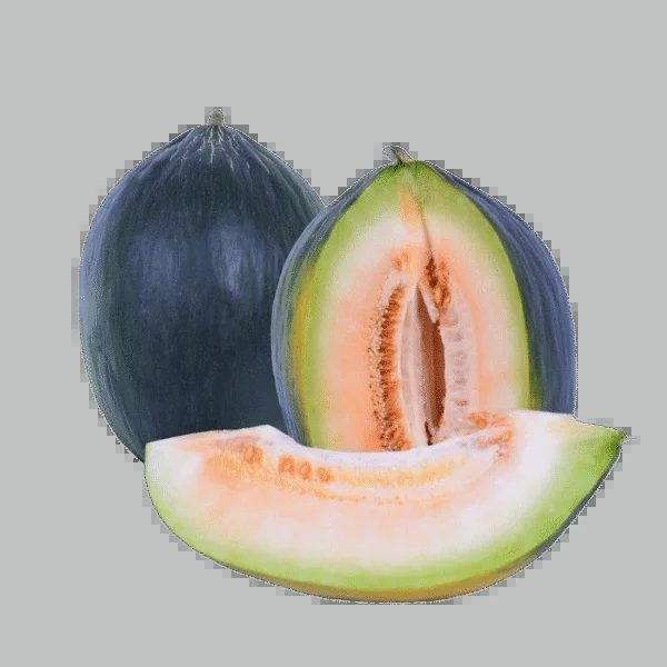 Hasanbey Melon