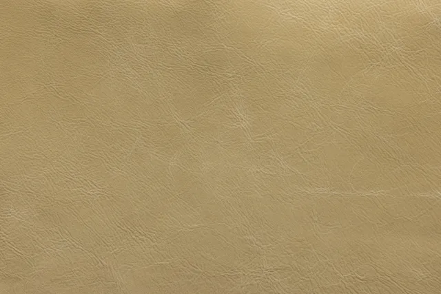 Petra Beige Natural Leather