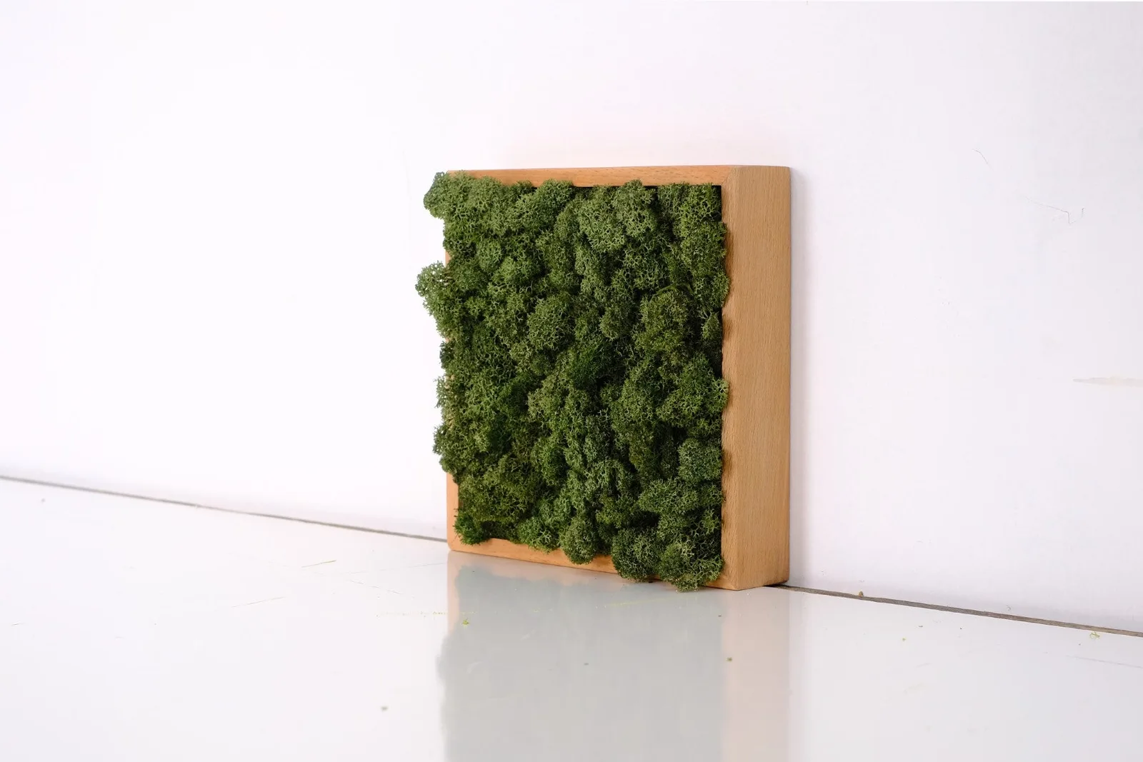 Quadratus moss and olive wood wall art