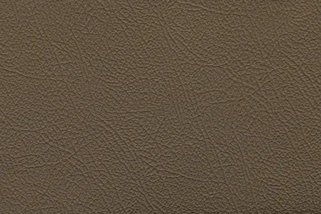 جلد Espada بيج داكن | 283 (TPX 17-1009) - Uyguner