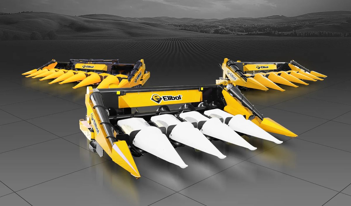 Corn Harvest Table