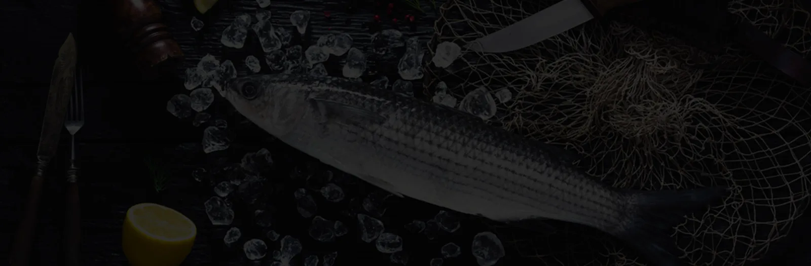 Frozen mullet