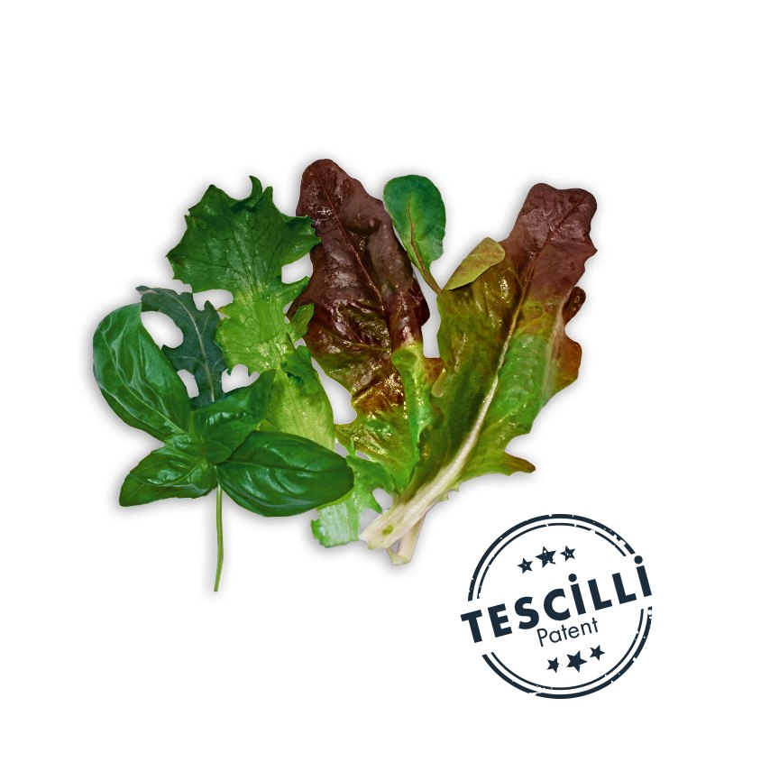 Sea Salad (with Basil)