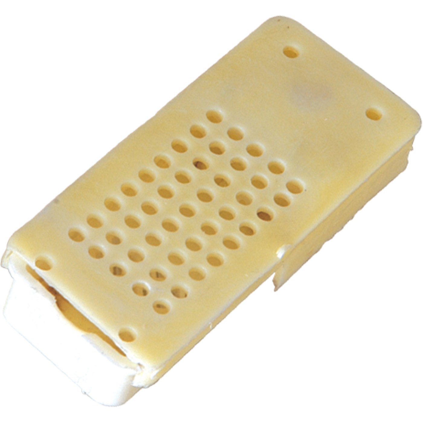 Queen Bee Cage (Plastic)