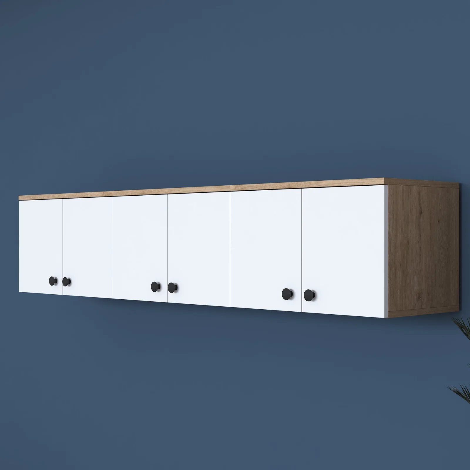 Hall upper module Rani EA103