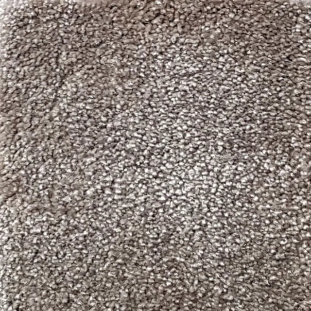 Wall-to-Wall Carpet Obsession 45