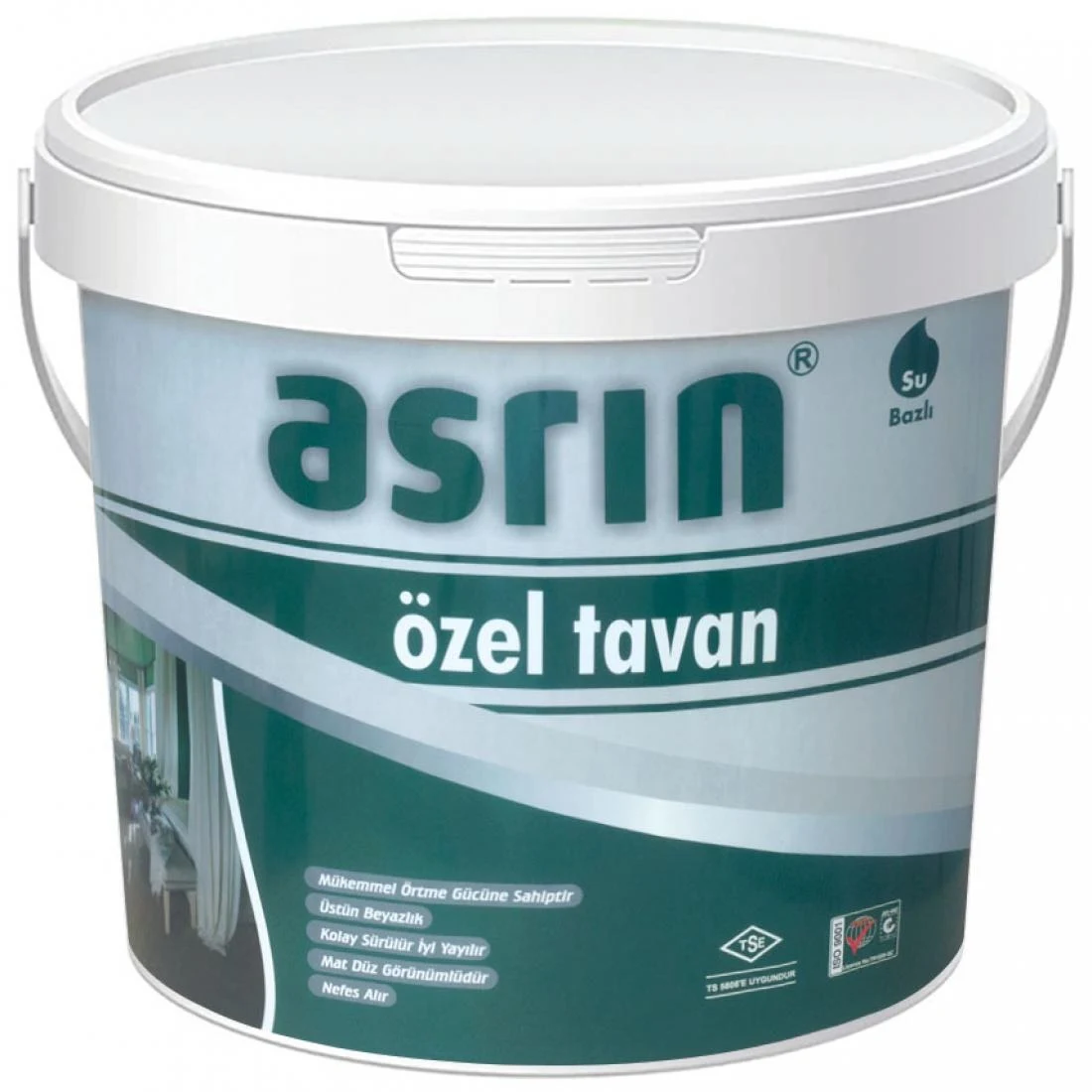 Century's Special Ceiling Paint