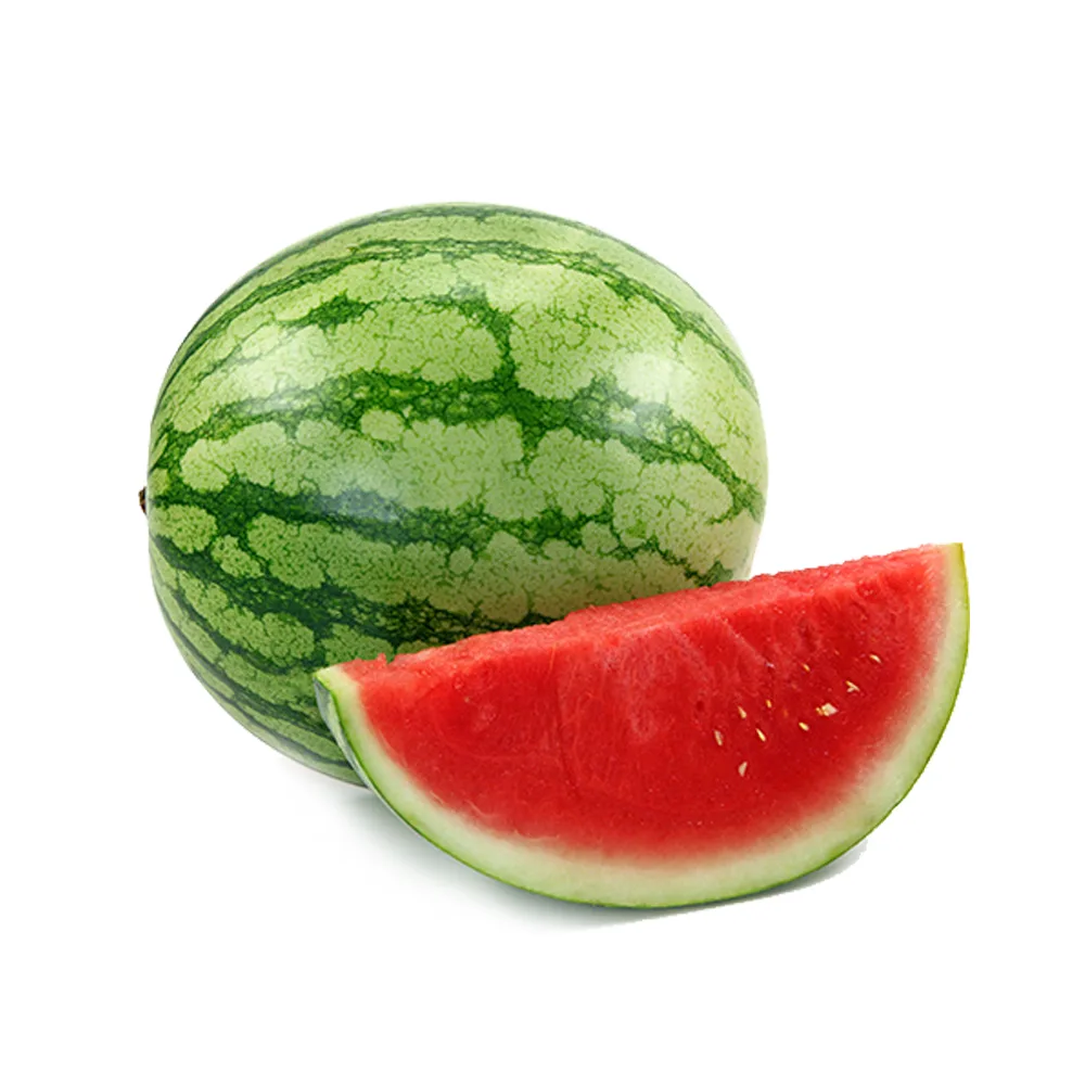 شتلة بطيخ أخضر