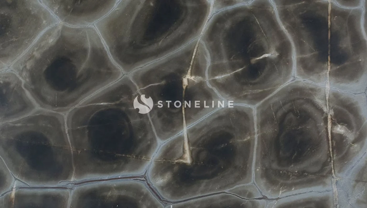 TURTLE QUARTZITE