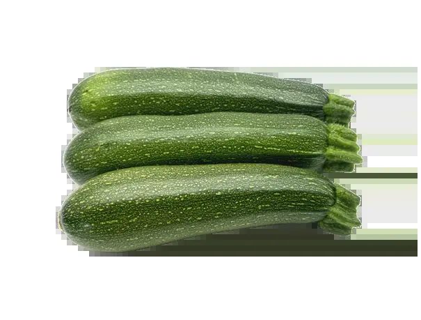 Hybrid zucchini seeds EFULI F1
